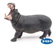 Load image into Gallery viewer, Hippopotamus