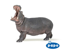 Load image into Gallery viewer, Hippopotamus
