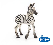 Load image into Gallery viewer, Zebra Foal