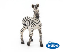 Load image into Gallery viewer, Zebra Foal