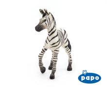 Load image into Gallery viewer, Zebra Foal