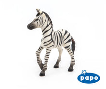Load image into Gallery viewer, Zebra Foal