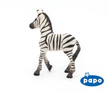 Load image into Gallery viewer, Zebra Foal