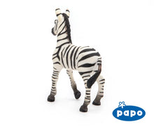 Load image into Gallery viewer, Zebra Foal