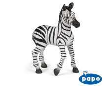 Load image into Gallery viewer, Zebra Foal