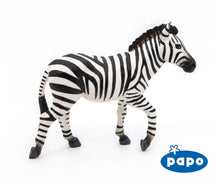 Load image into Gallery viewer, Male Zebra
