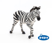 Load image into Gallery viewer, Male Zebra