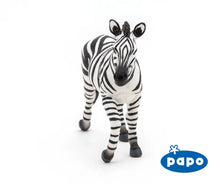 Load image into Gallery viewer, Male Zebra