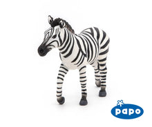 Load image into Gallery viewer, Male Zebra