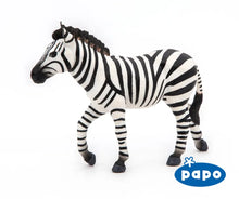 Load image into Gallery viewer, Male Zebra