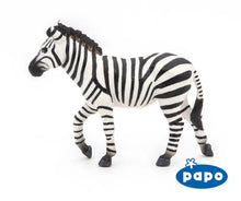 Load image into Gallery viewer, Male Zebra