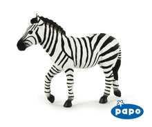 Load image into Gallery viewer, Male Zebra