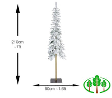Load image into Gallery viewer, 210cm Alpine Fir