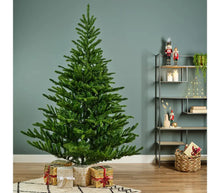 Load image into Gallery viewer, 180cm Liberty Spruce