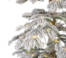 Load image into Gallery viewer, 210cm Alpine Fir