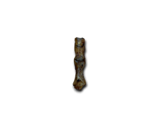 Load image into Gallery viewer, Naturals Ostrich Foot
