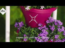 Load and play video in Gallery viewer, Corsica Vertical Forest Large Set 2 Cherry Red