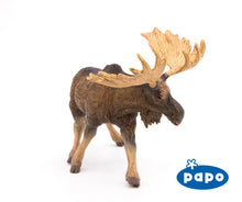 Load image into Gallery viewer, Moose
