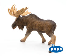 Load image into Gallery viewer, Moose
