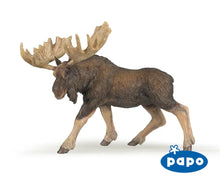 Load image into Gallery viewer, Moose
