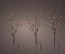 Load image into Gallery viewer, LED Branch Stake Light- Warm White - Set of 3
