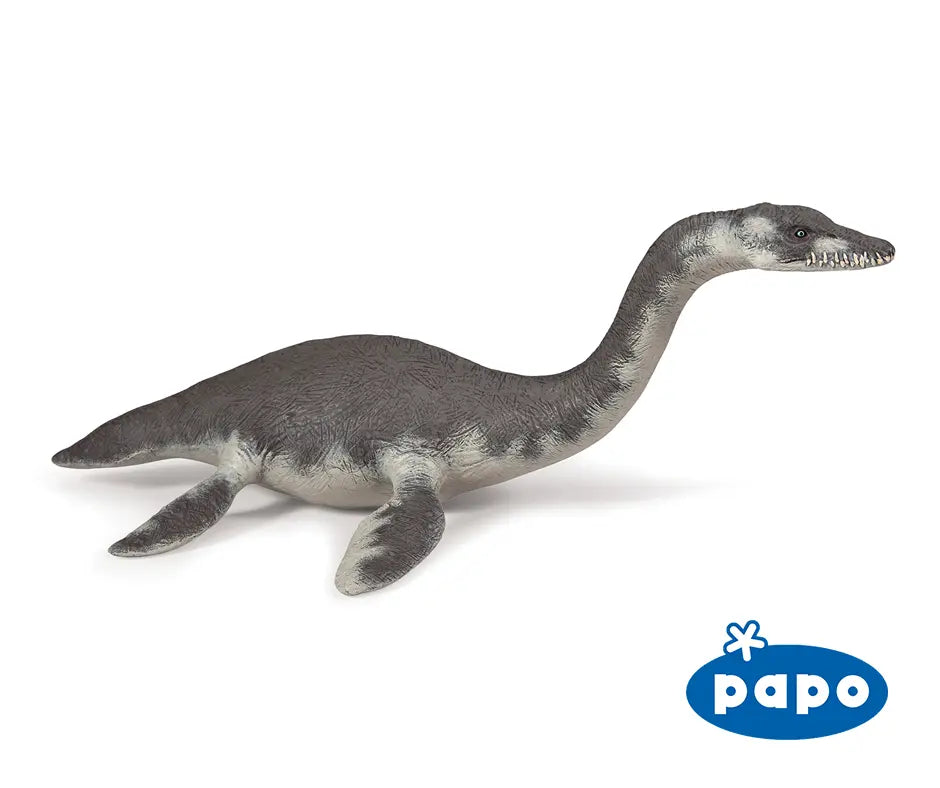 Plesiosaurus