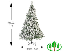 Load image into Gallery viewer, 210cm Imperial Pine - Snowy
