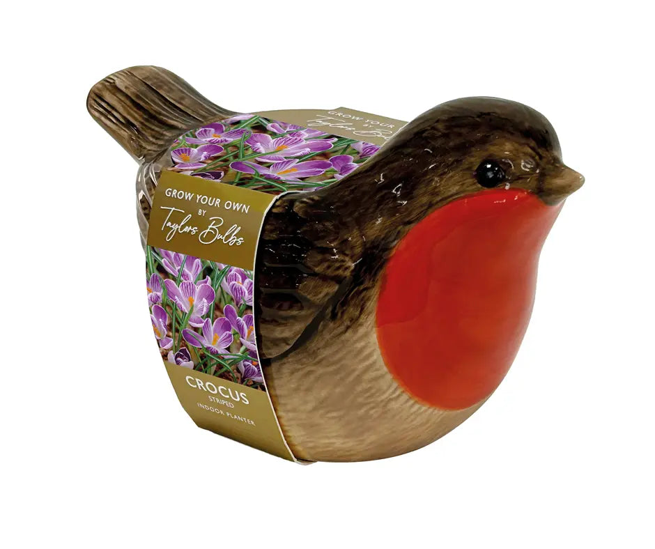 Novelty Robin Planter