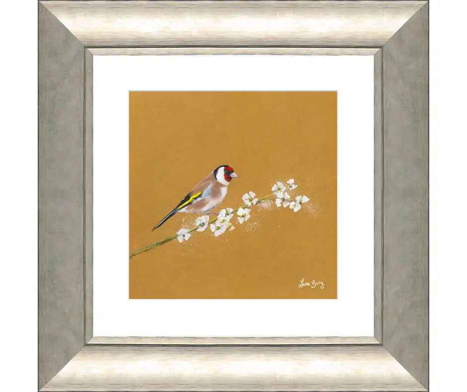 'Goldfinch' By Laure Bury