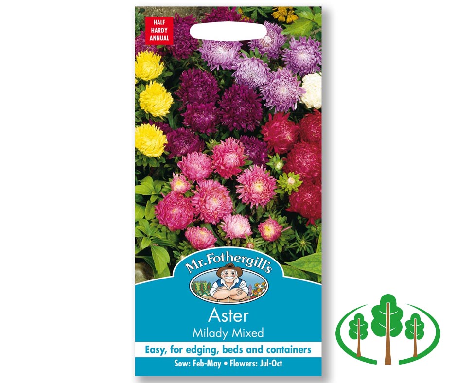 ASTER Milady Mixed