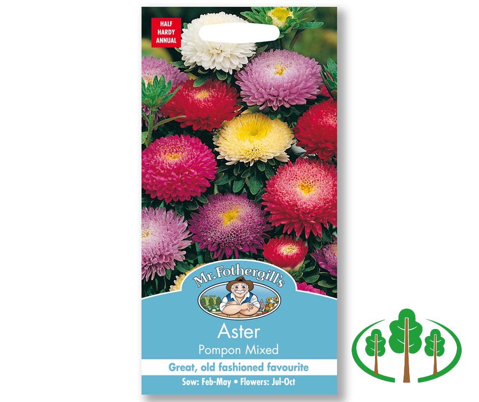 ASTER Pompon Mixed