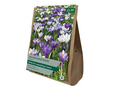 Load image into Gallery viewer, Crocus &#39;Naturalising Mix&#39; - Buy One Get One FREE
