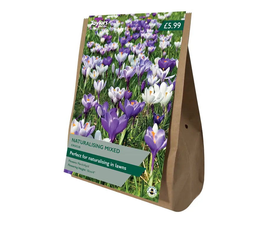 Crocus 'Naturalising Mix' - Buy One Get One FREE