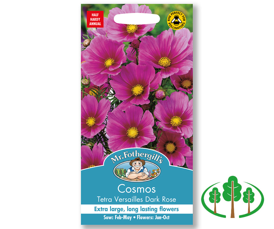 COSMOS Tetra Versailles Dark Rose
