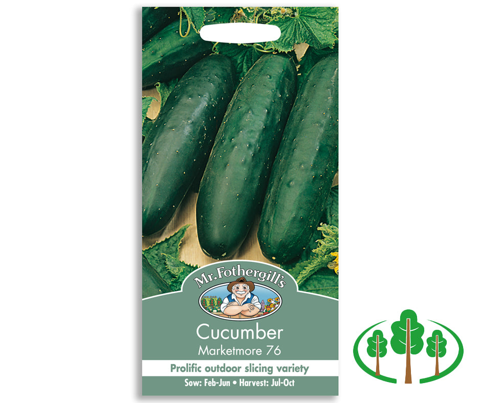 CUCUMBER Marketmore 76