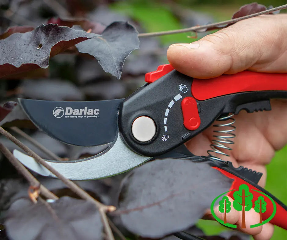 Adjustable Bypass Pruner