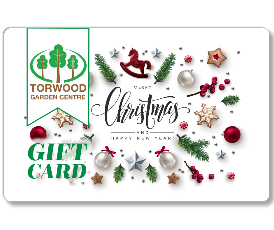 Gift Card - Christmas Design