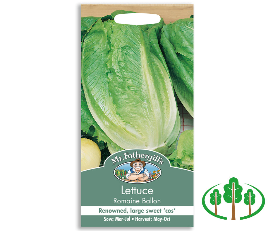 LETTUCE Romaine Ballon