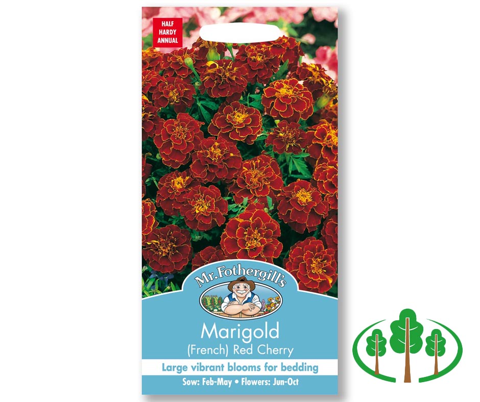 MARIGOLD (French) Red Cherry