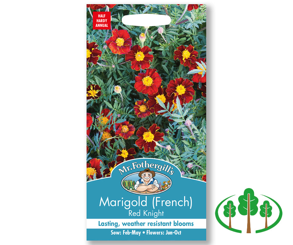 MARIGOLD (French) Red Knight