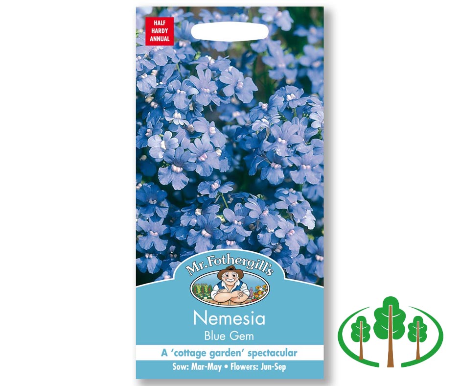 NEMESIA Blue Gem