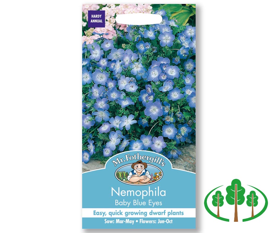 NEMOPHILA Baby Blue Eyes