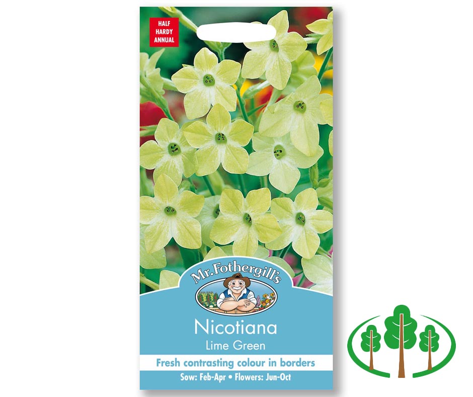 NICOTIANA Lime Green