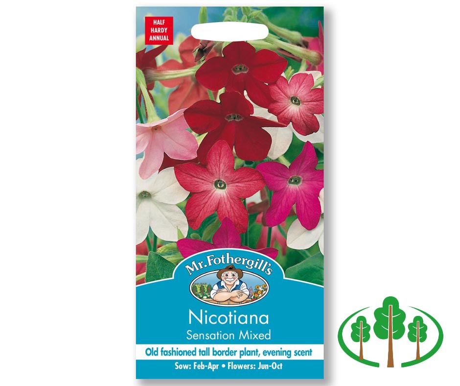 NICOTIANA Sensation Mixed