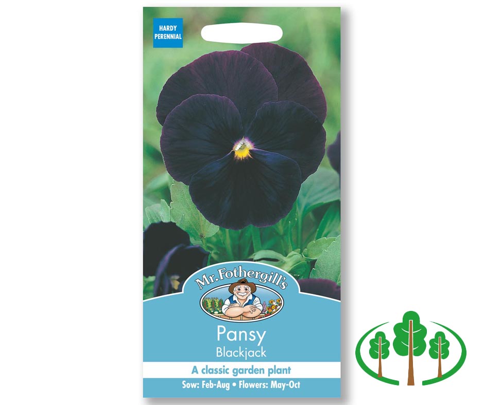 PANSY Blackjack