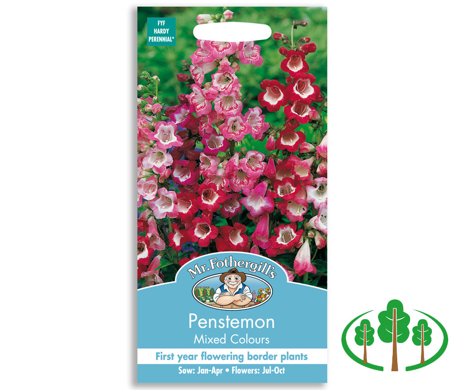 PENSTEMON Mixed Colours