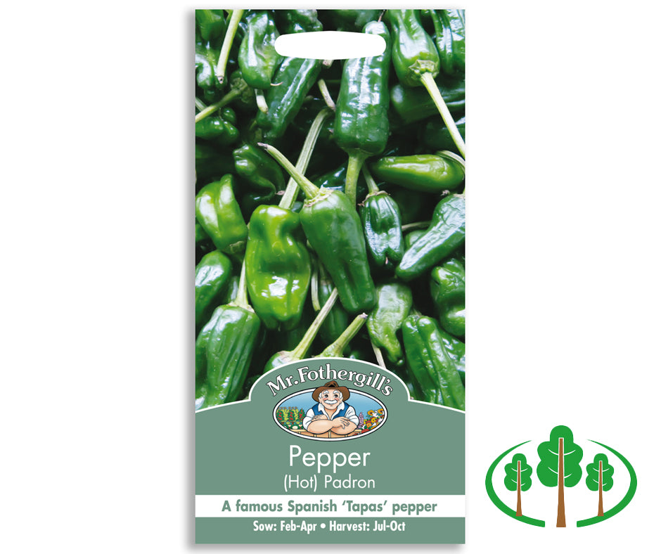 PEPPER (Hot) Padron