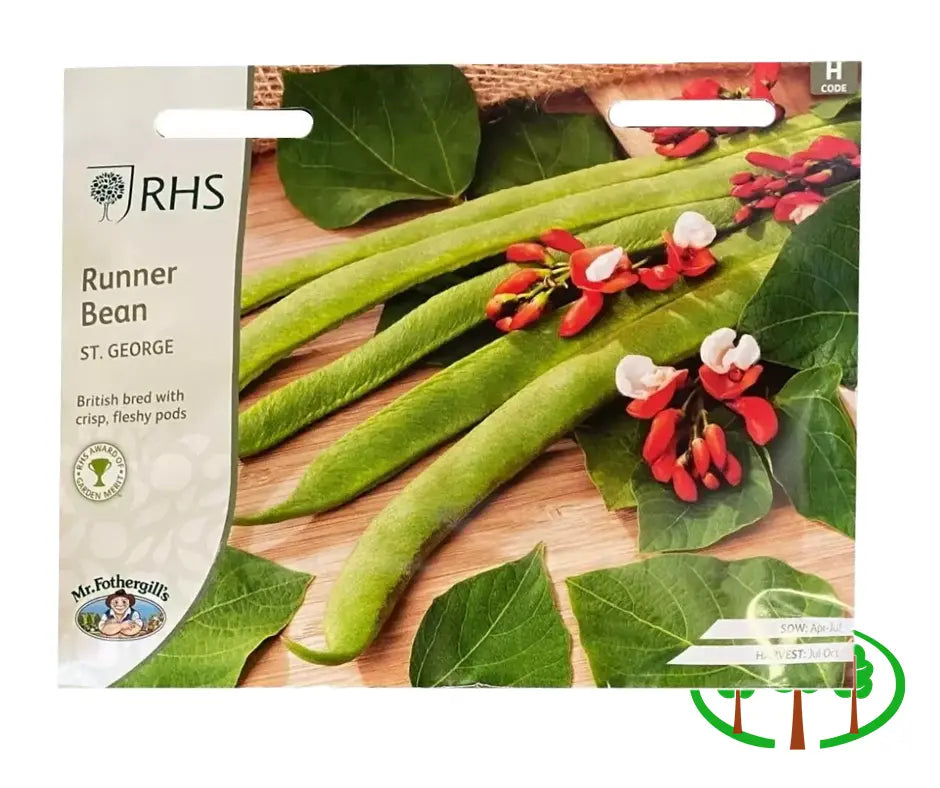 RHS-RUNNER BEAN St George