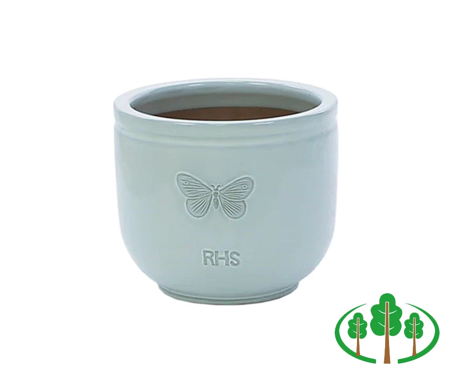 RHS Wildlife Blue Butterfly 18cm