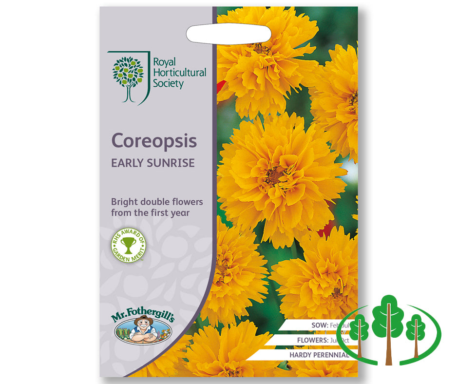 RHS-COREOPSIS Early Sunrise